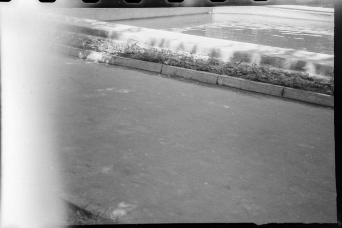 A path and a flower bed near a fountain 2