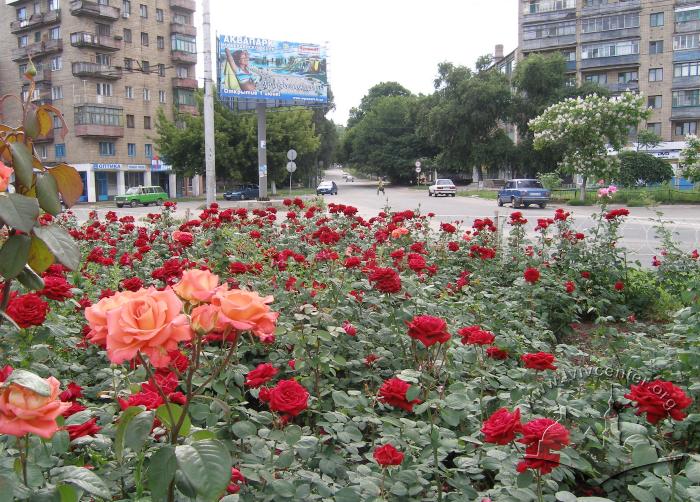 Ріг проспекту Луніна та вулиці Гагаріна 2