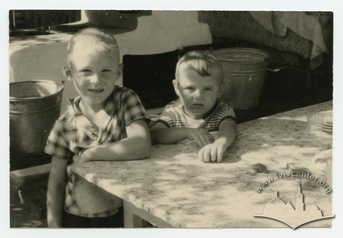 Vova and Valera in the summer kitchen 2