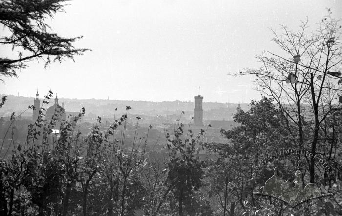 Панорама Львова 2