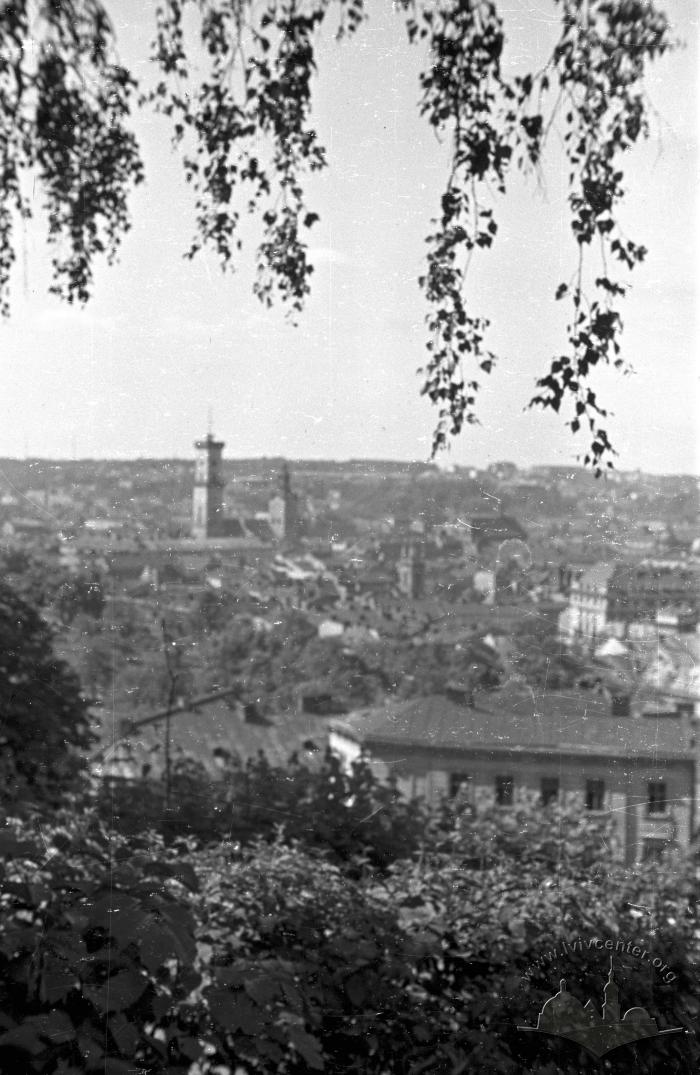 Панорама Львова 2