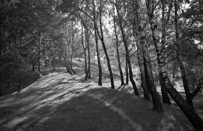 Парк у Львові