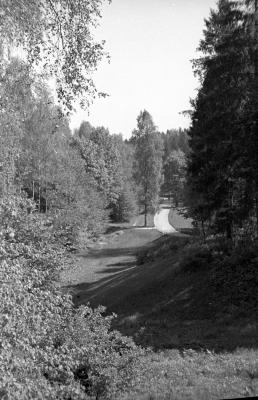 Стрийський парк