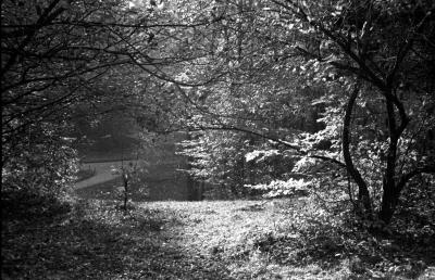 Стрийський парк