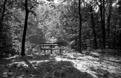 Лавка у парку