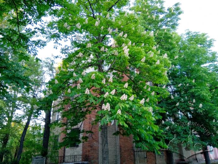 Житловий будинок по вул. Дружби Народів у Сіверськодонецьку 2