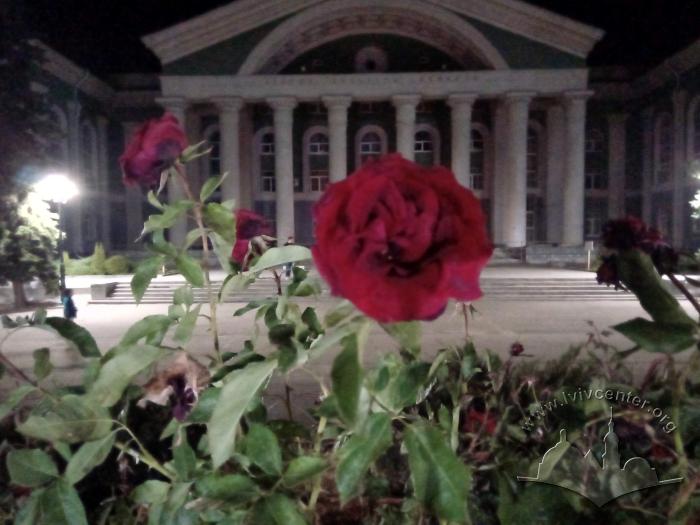 Палац культури хіміків у Сіверськодонецьку 2