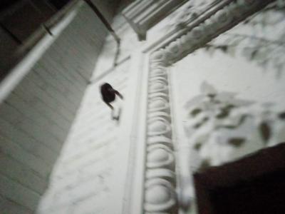 Фрагмент оформлення фасаду будинку в Сіверськодонецьку