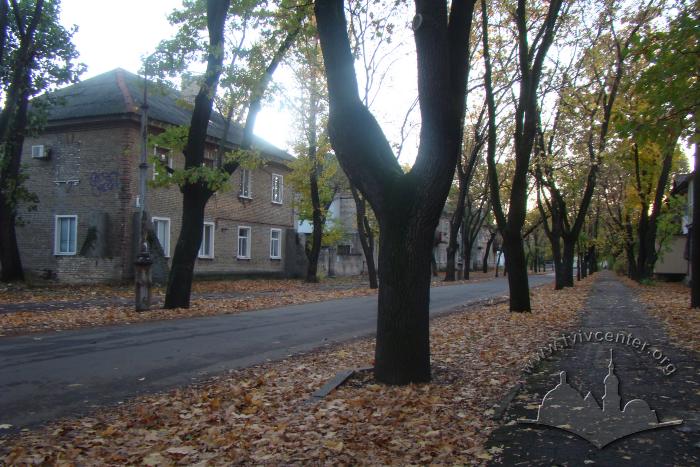 Вулиця 8 березня 2