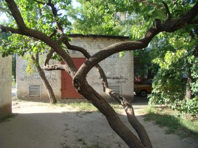 54-й мікрорайон