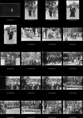 Перше травня, День Перемоги, каратисти, мотокрос
у Центрі дитячої та юнацької творчості, портрети