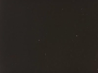 Berehynia