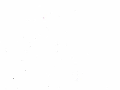 Cімейний відпочинок у Карпатах