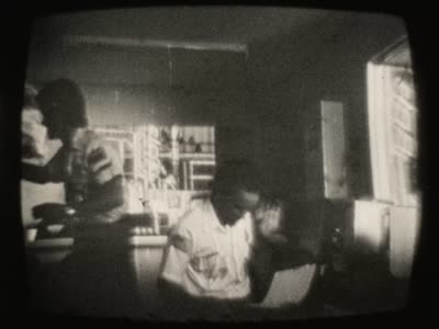 Flight of the navigator. The zoo. The household. New Year's Eve