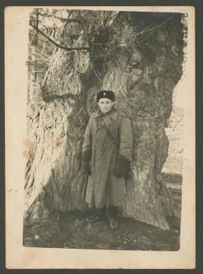 Portrait near a tree