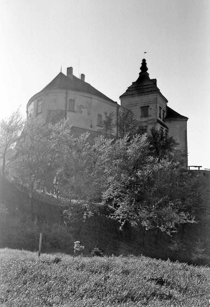 Jan III Sobieski castle in Olesk 2
