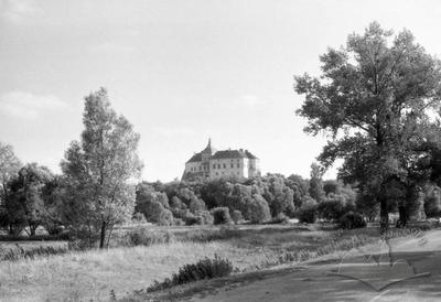 View of Oleskyi castle